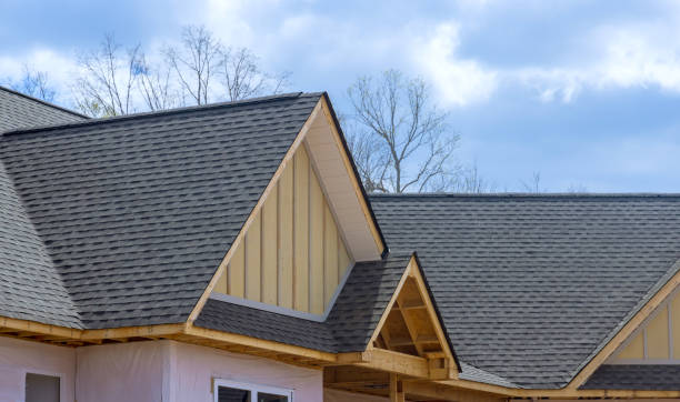 Best Roof Moss and Algae Removal  in Forest Hill, TX