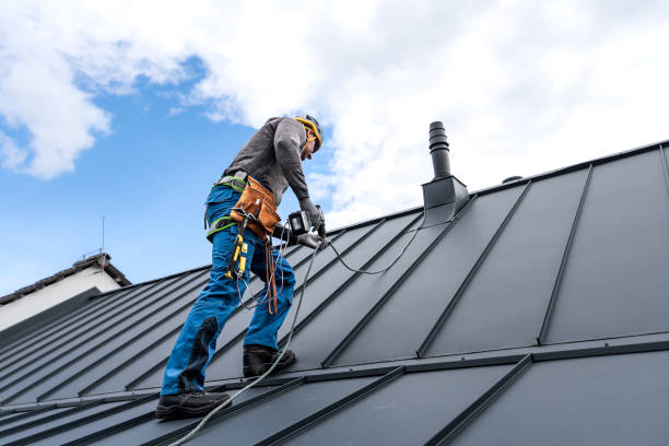 Best Skylight Installation and Repair  in Forest Hill, TX